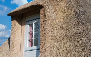 Waterlane thatch roof disadvantages