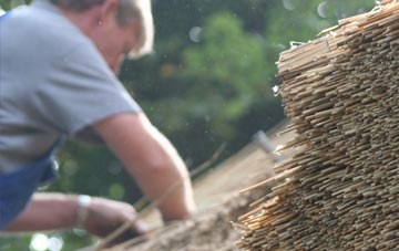 professional Waterlane thatchers